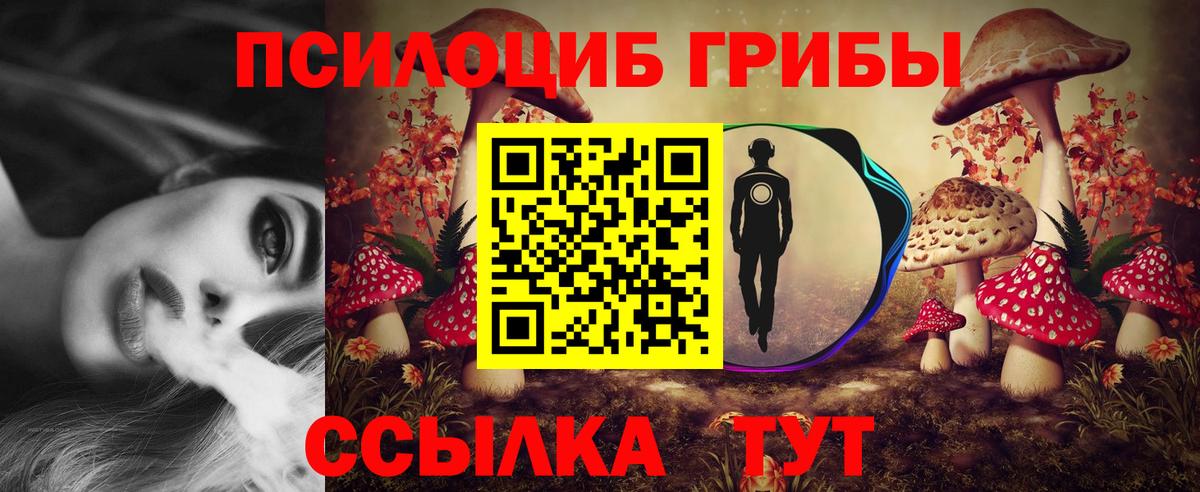 купить наркоту  Вход с VPN  Галлюциногенные грибы GOLDEN TEACHER  Аша  Псилоцибиновые грибы мицелий 